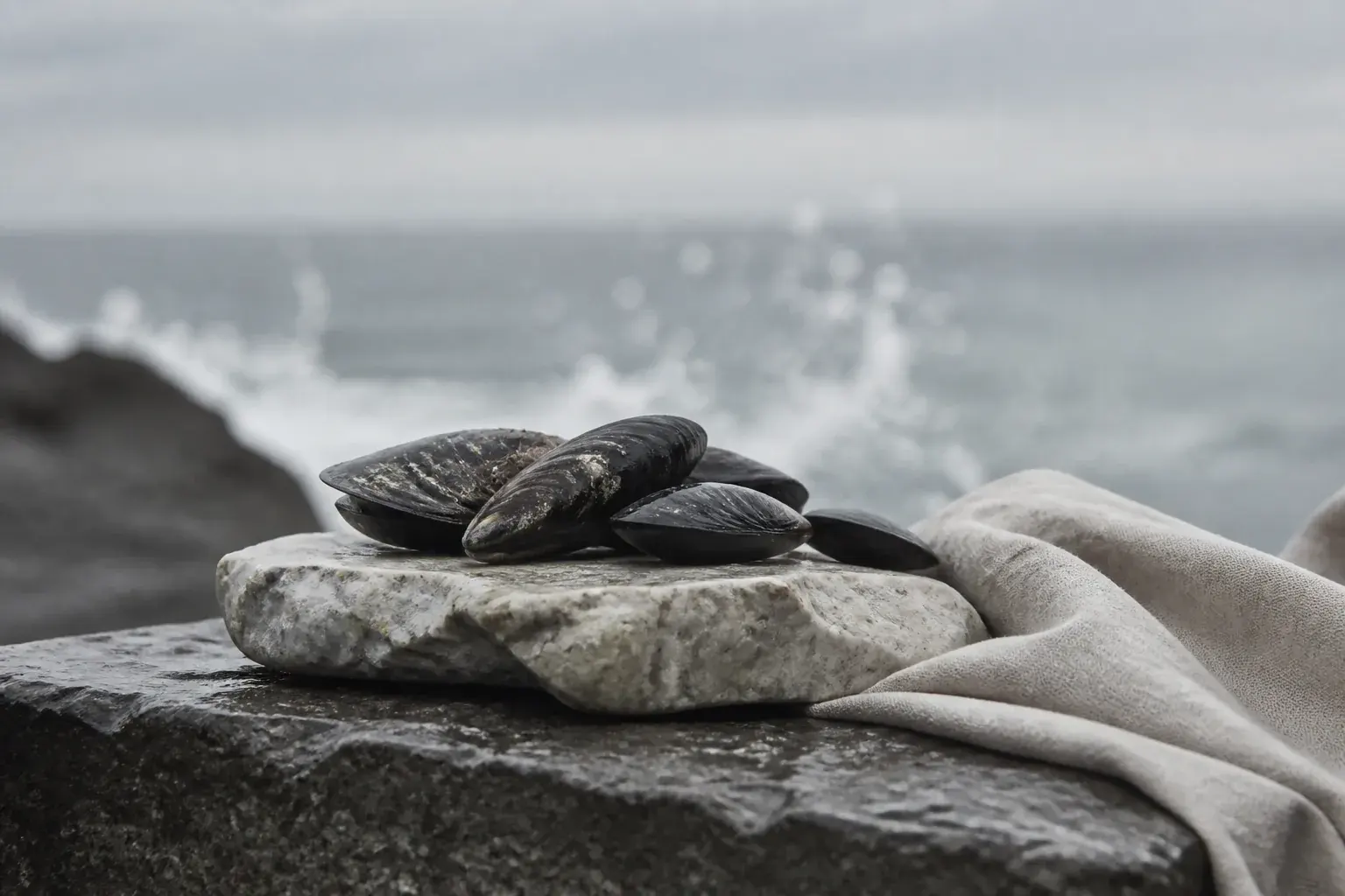 Editorial placeholder of mussels against an abstract Atlantic coast