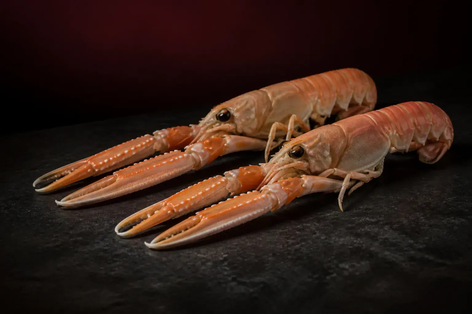 Editorial placeholder of langoustines on dark honed stone